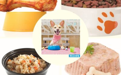 Mescolare cibo secco e umido, alimentazione casalinga ed industriale fa male ed e’ pericoloso per il tuo cane e per il tuo gatto? Smettiamola di confondere i proprietari!!!
