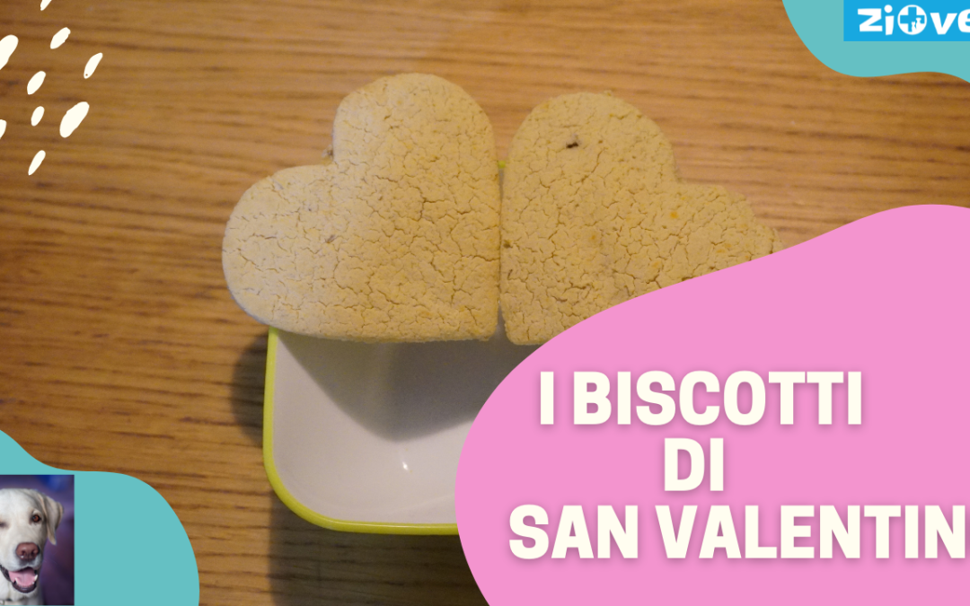I biscotti di San Valentino